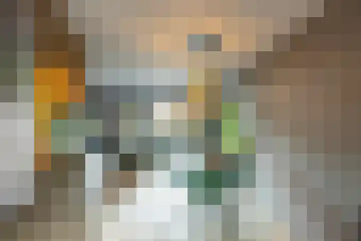 Andijkstraat 10 Emmeloord thumbnail 4