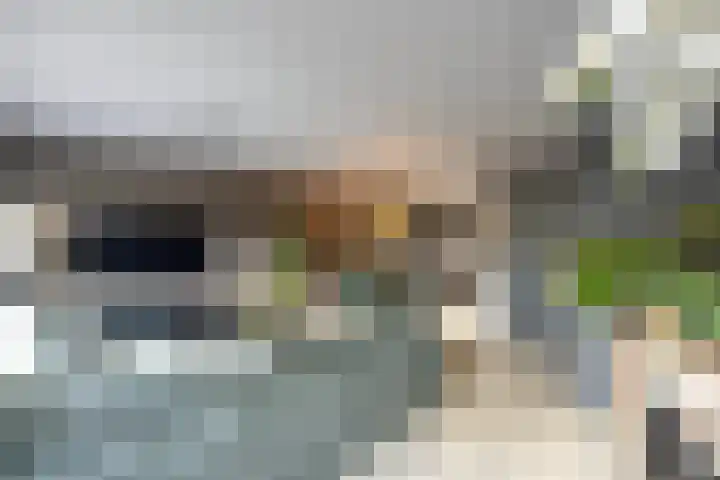 Andijkstraat 10 Emmeloord thumbnail 8