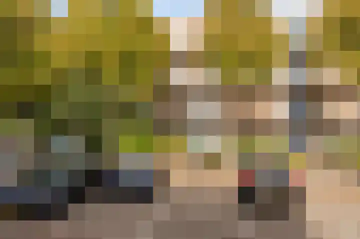 Andijkstraat 21 Emmeloord thumbnail 6