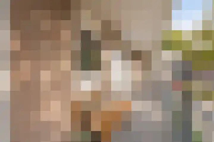 Andijkstraat 21 Emmeloord thumbnail 8