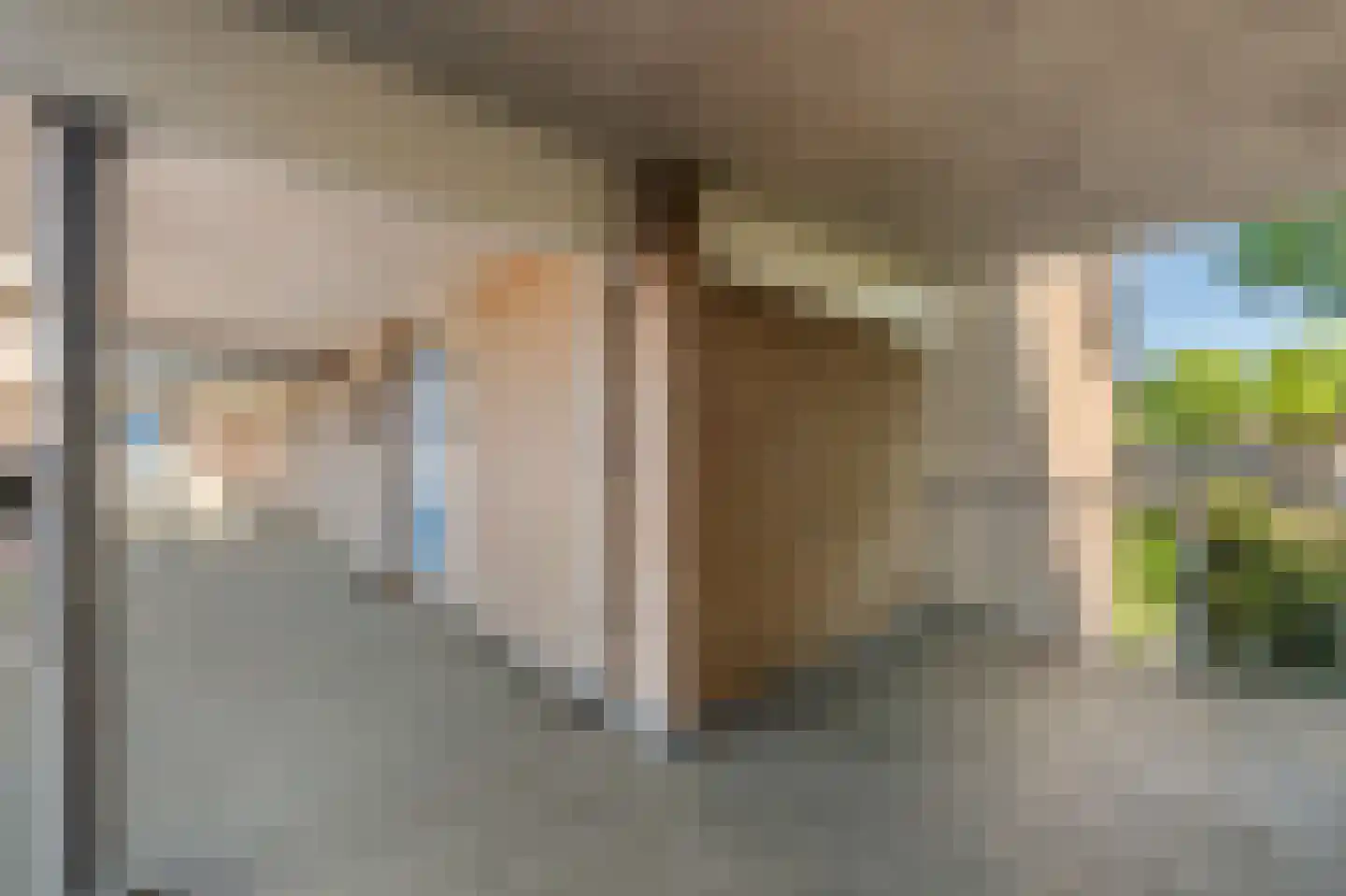 Andijkstraat 33 Emmeloord thumbnail 31