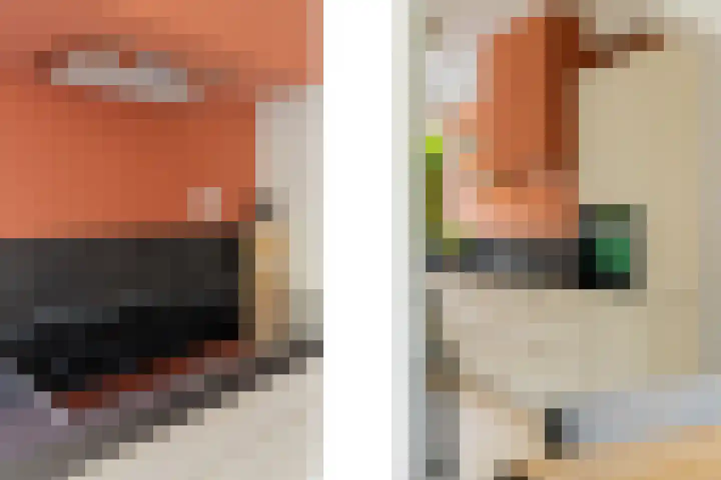 Andoorn 1 Rotterdam thumbnail 12