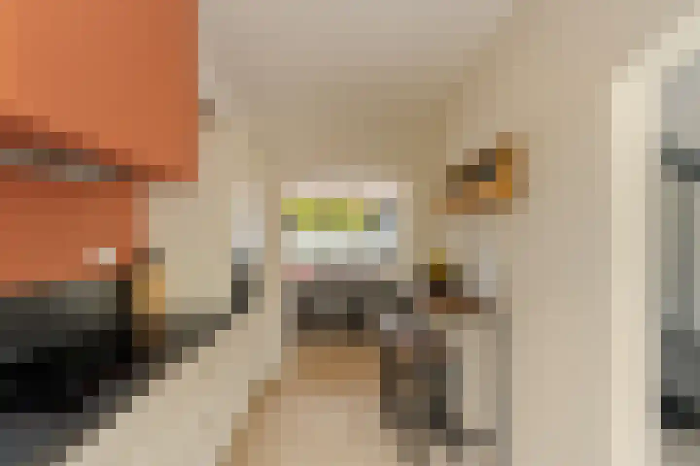Andoorn 1 Rotterdam thumbnail 13