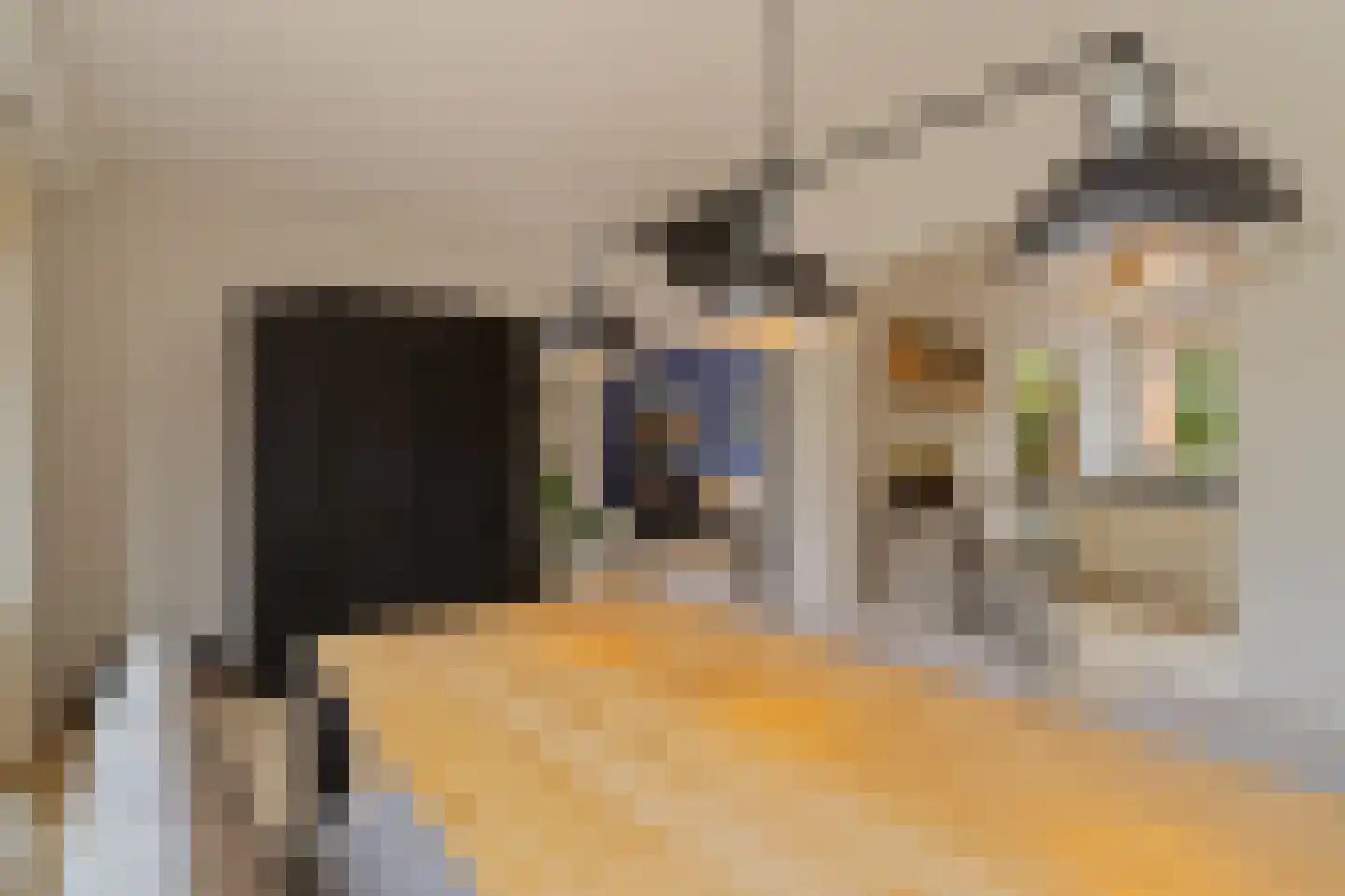 Andoorn 1 Rotterdam thumbnail 15