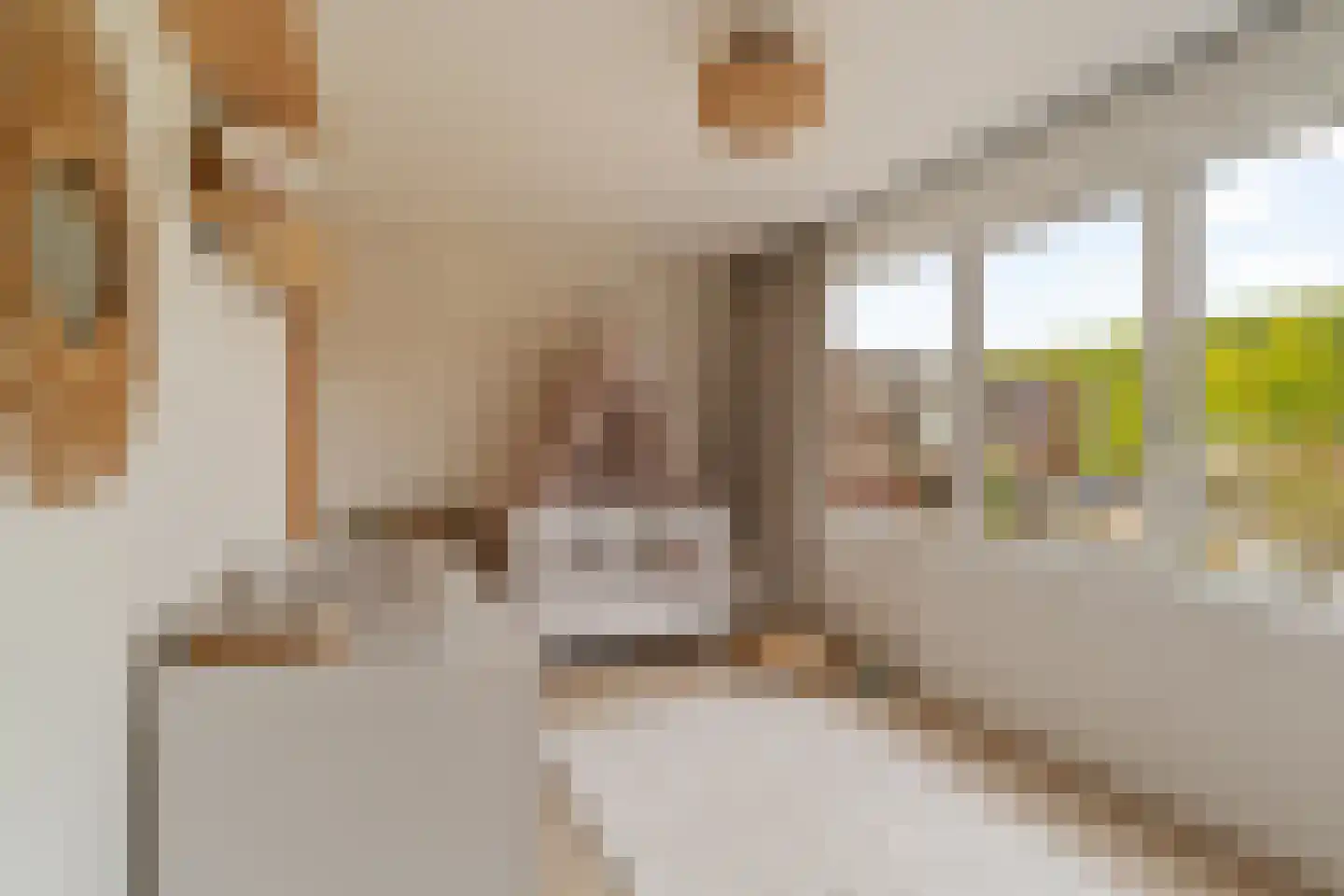 Andoorn 1 Rotterdam thumbnail 20