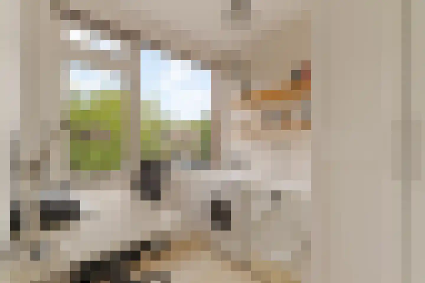 Andoorn 1 Rotterdam thumbnail 22
