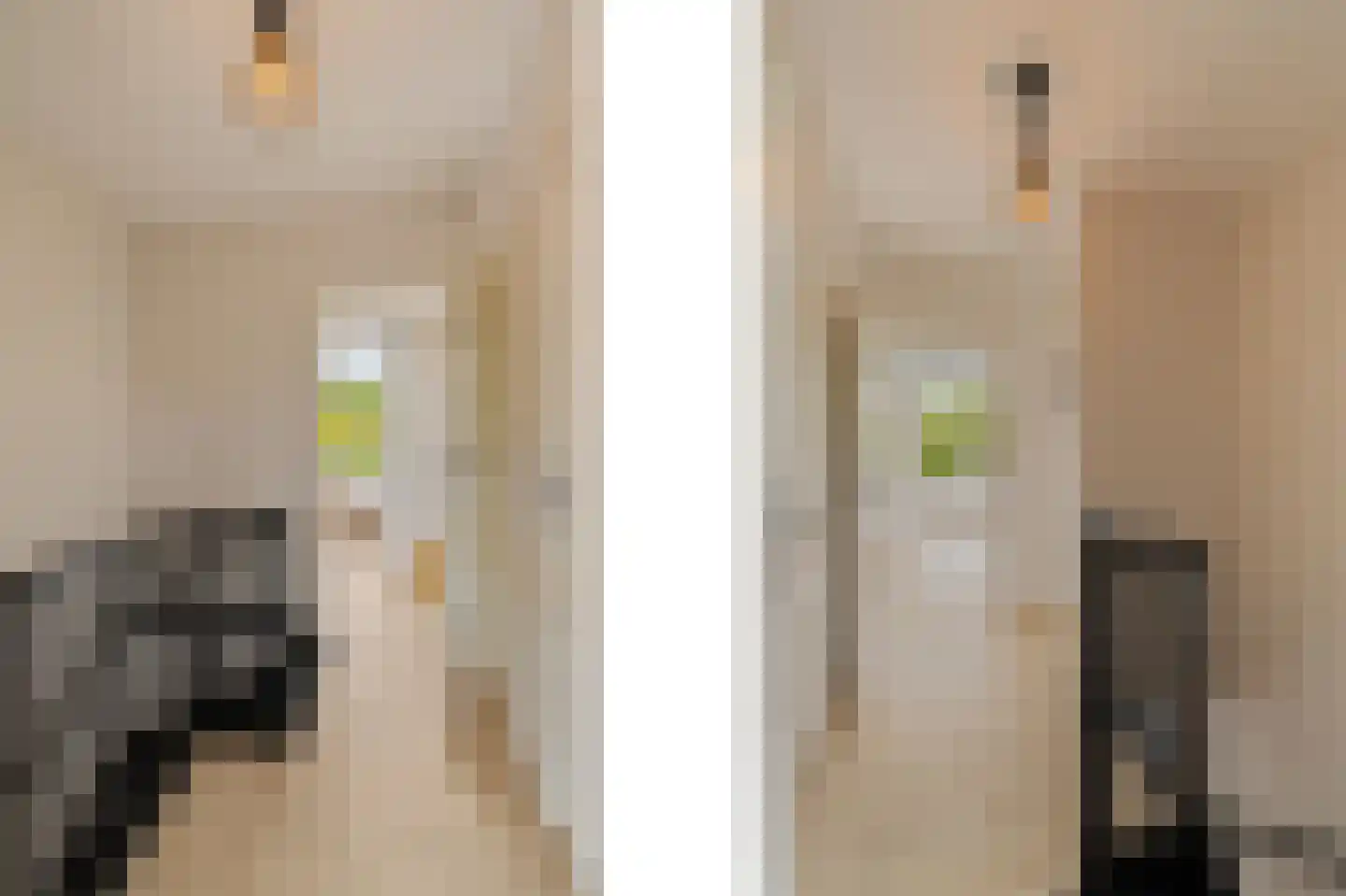Andoorn 1 Rotterdam thumbnail 27