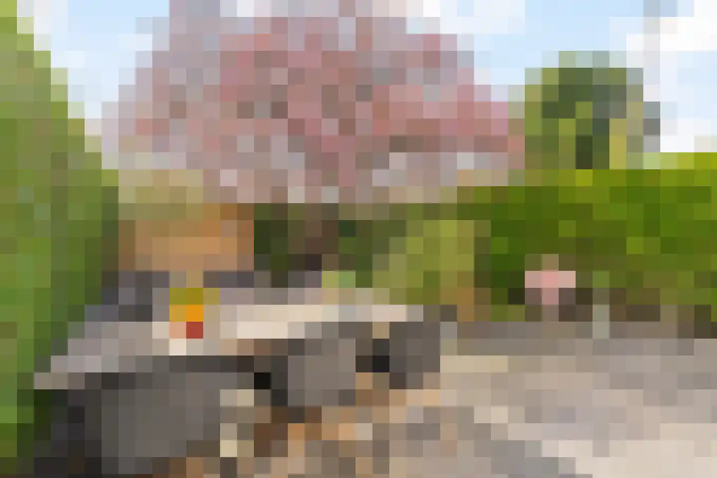 Andoorn 1 Rotterdam thumbnail 28
