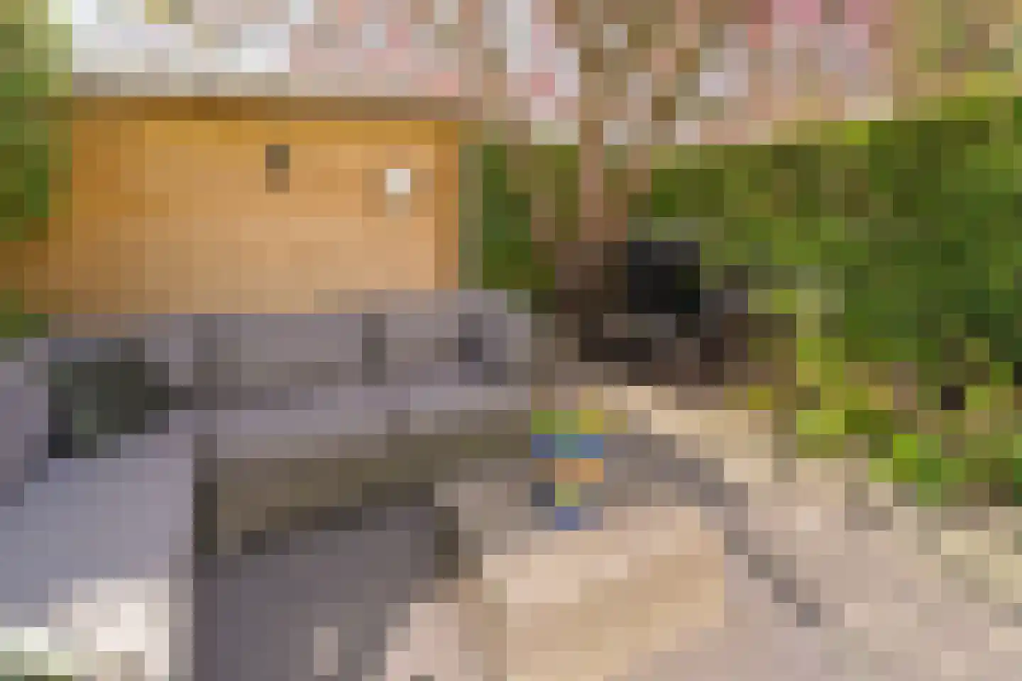 Andoorn 1 Rotterdam thumbnail 29