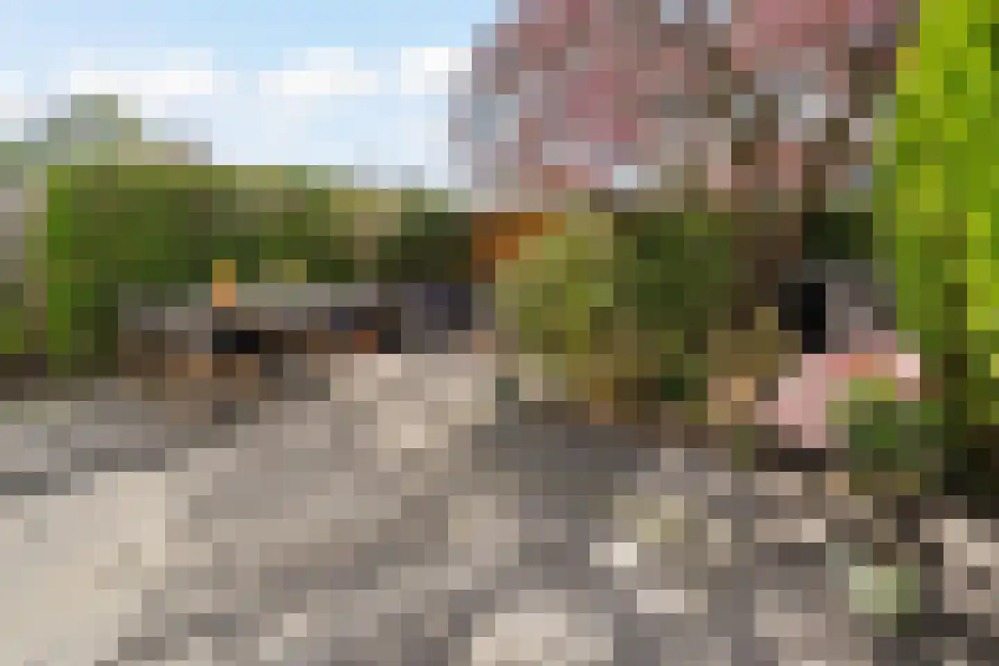 Andoorn 1 Rotterdam thumbnail 30