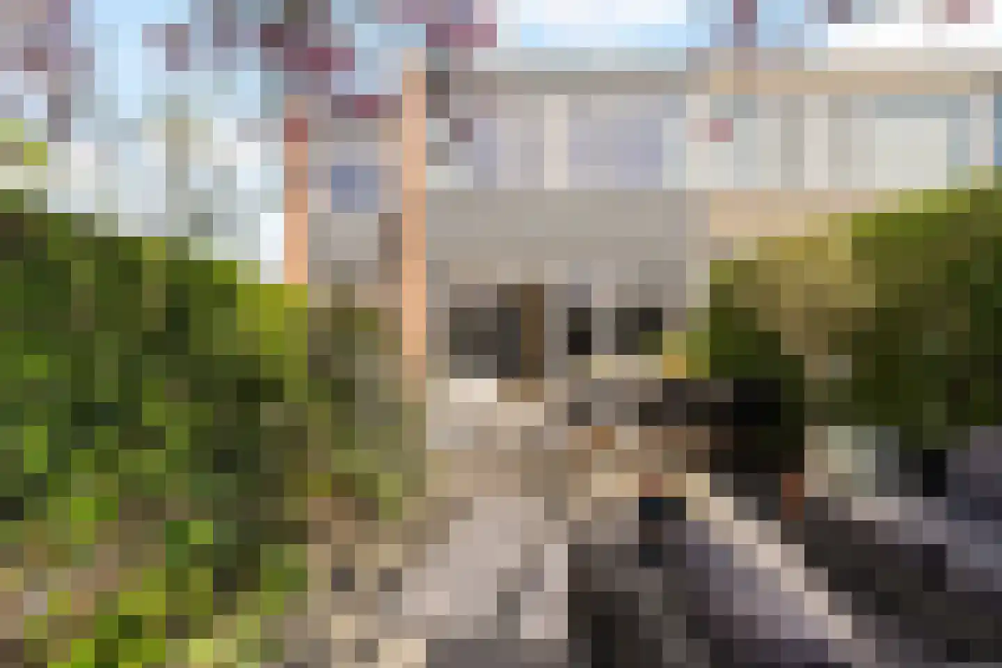 Andoorn 1 Rotterdam thumbnail 31