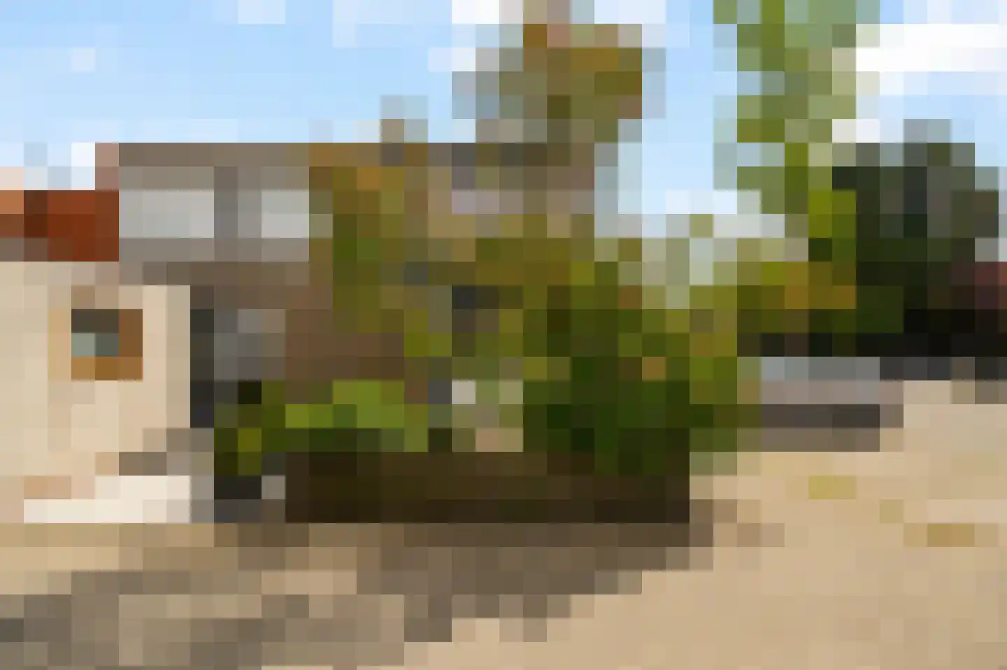 Andoorn 1 Rotterdam thumbnail 6