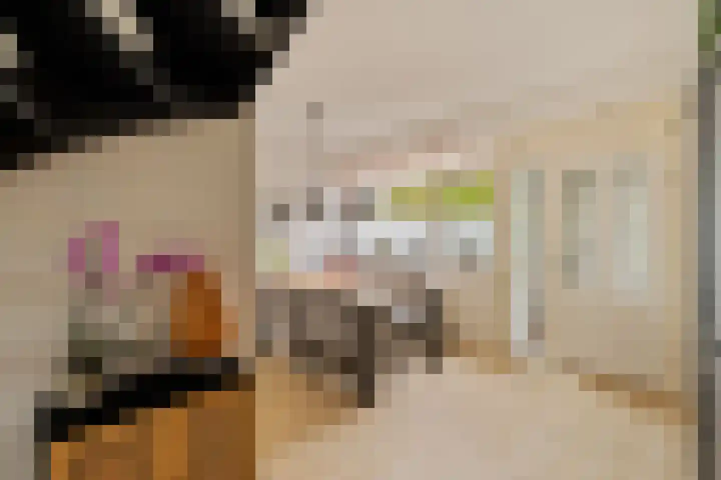 Andoorn 1 Rotterdam thumbnail 7