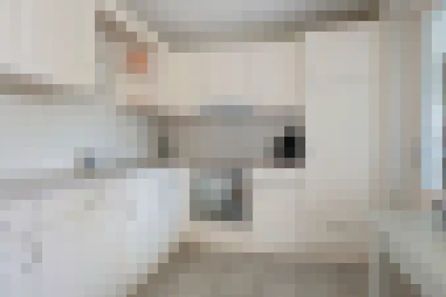 Andoorn 12 Klazienaveen thumbnail 11