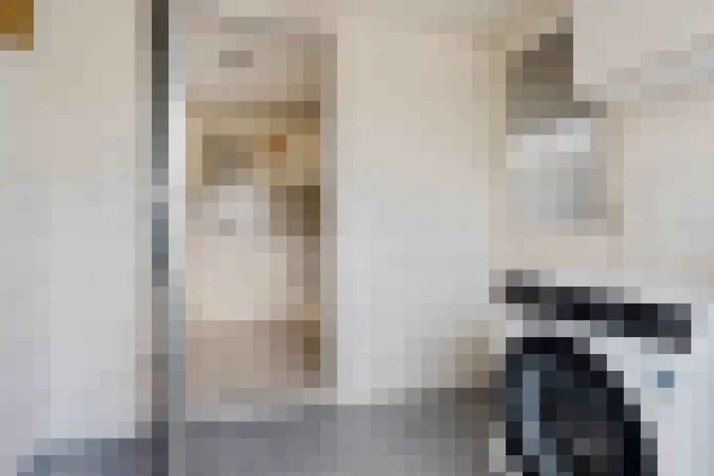 Andoorn 12 Klazienaveen thumbnail 15