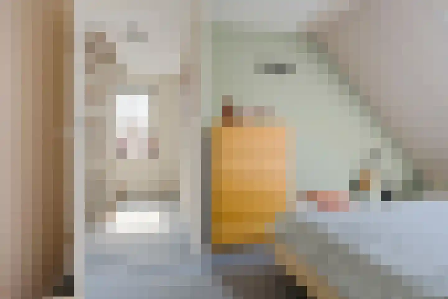 Andoorn 12 Klazienaveen thumbnail 23