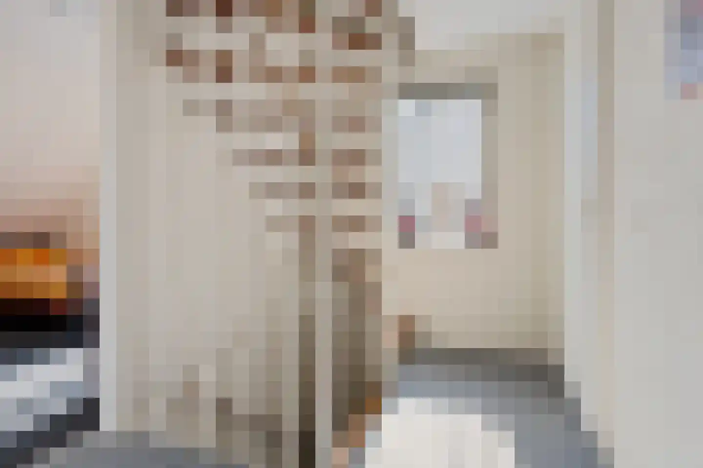 Andoorn 12 Klazienaveen thumbnail 25