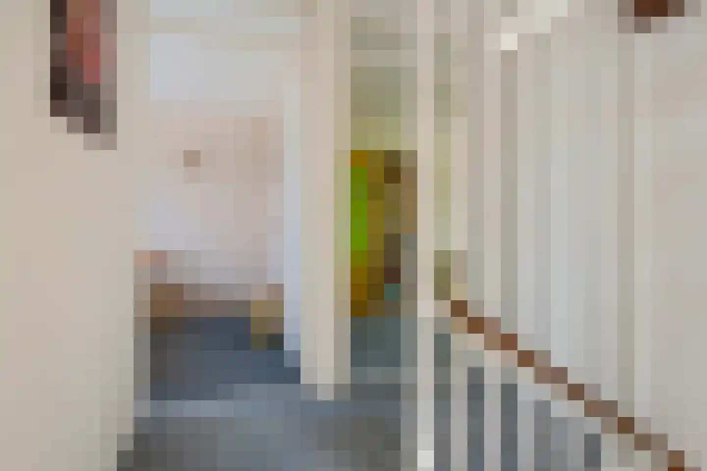 Andoorn 12 Klazienaveen thumbnail 26