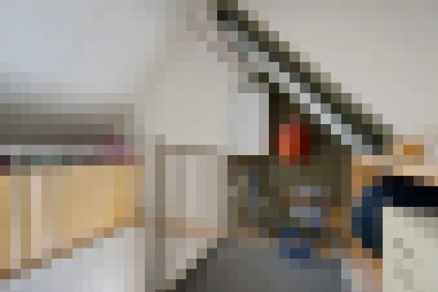 Andoorn 12 Klazienaveen thumbnail 30