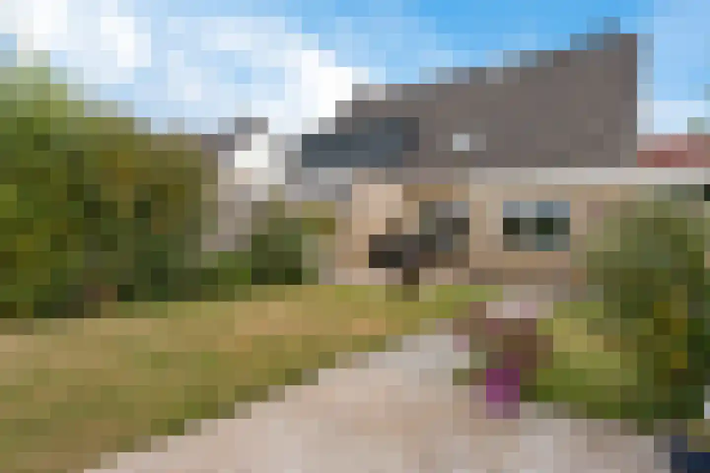 Andoorn 12 Klazienaveen thumbnail 35
