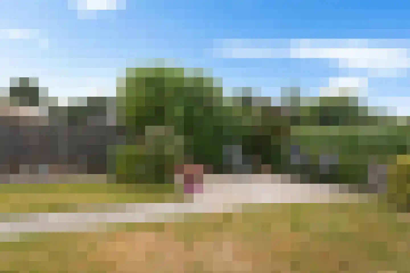 Andoorn 12 Klazienaveen thumbnail 36