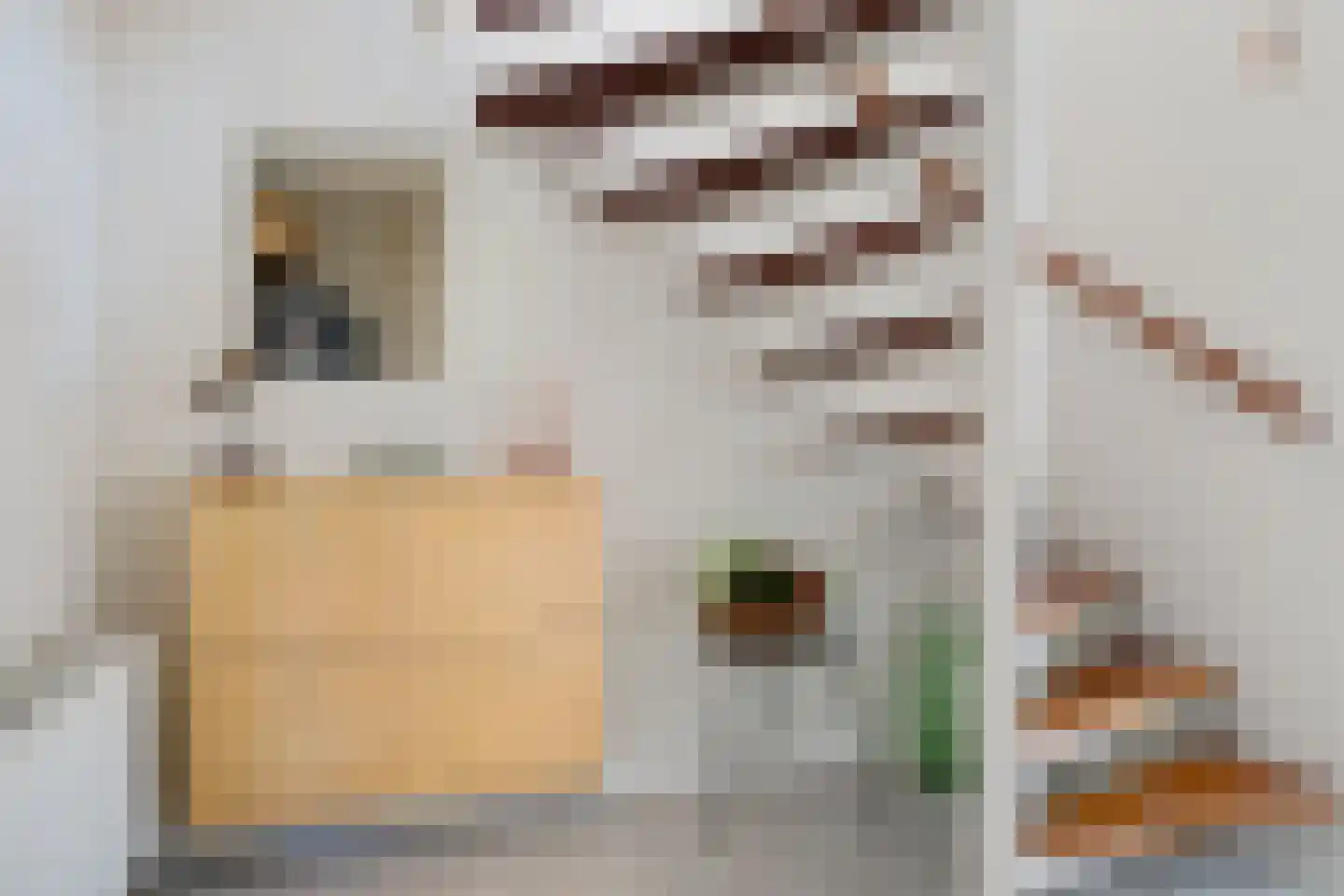 Andoorn 12 Klazienaveen thumbnail 5