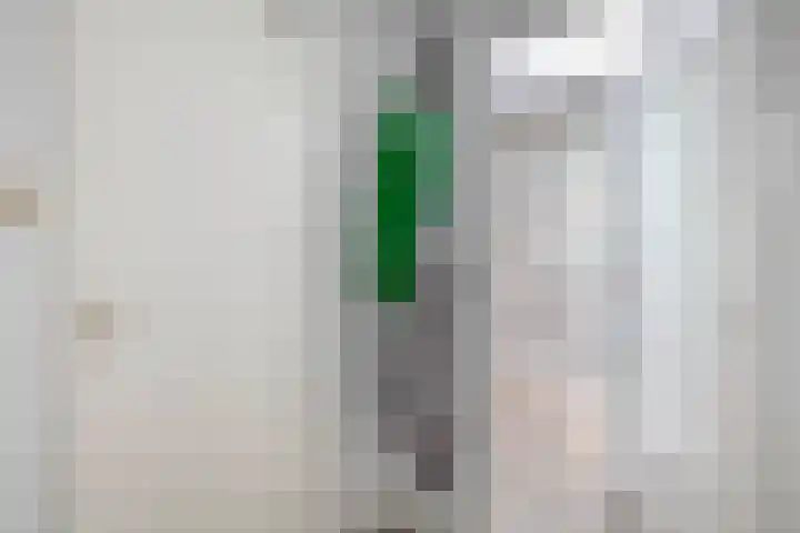 Andoorn 15 Rotterdam thumbnail 11