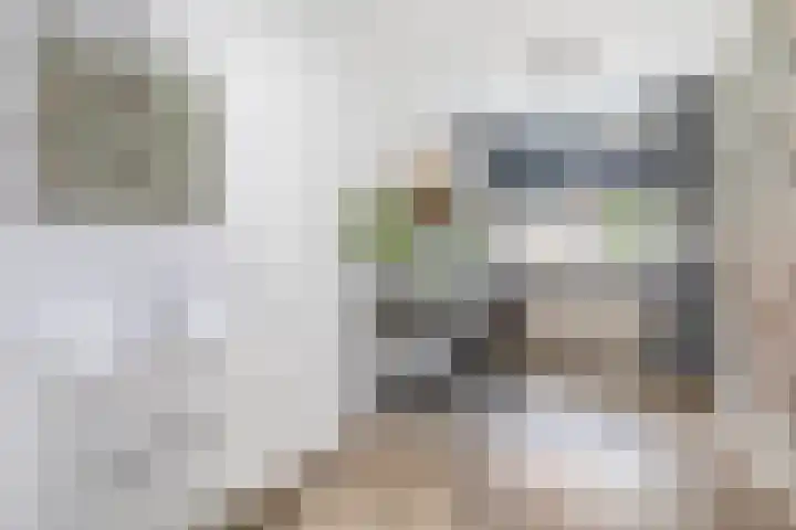 Andoorn 15 Rotterdam thumbnail 12