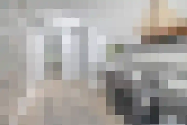 Andoorn 15 Rotterdam thumbnail 13