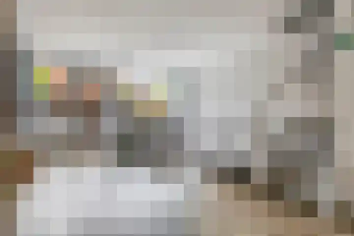 Andoorn 15 Rotterdam thumbnail 14