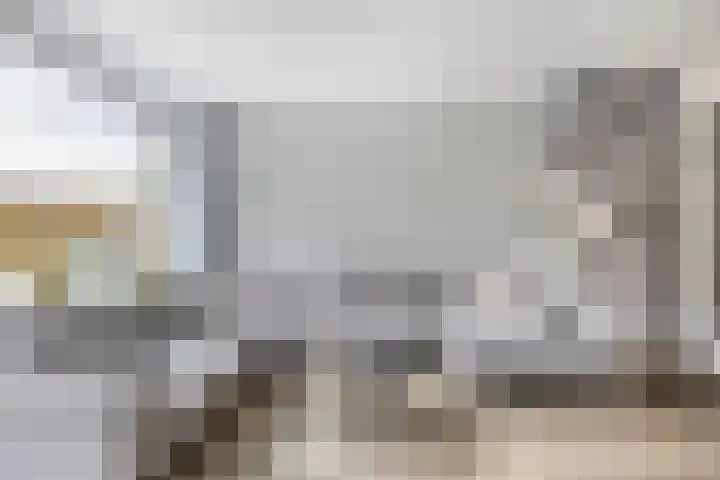 Andoorn 15 Rotterdam thumbnail 16