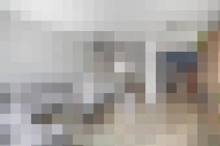 Andoorn 15 Rotterdam thumbnail 17