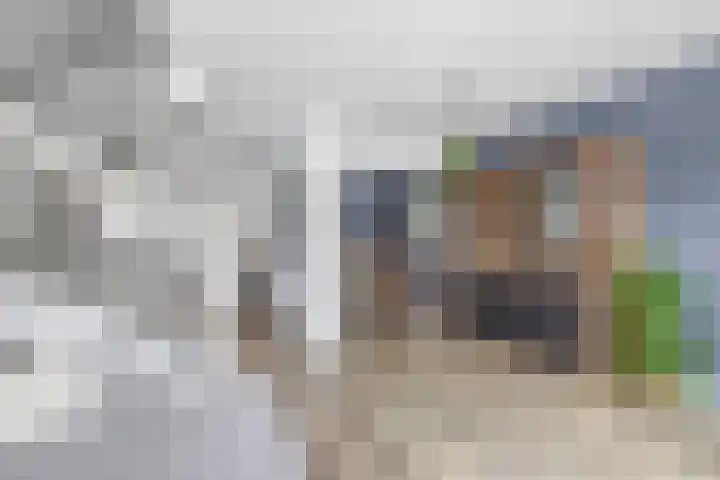 Andoorn 15 Rotterdam thumbnail 18
