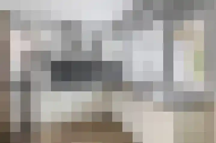 Andoorn 15 Rotterdam thumbnail 21