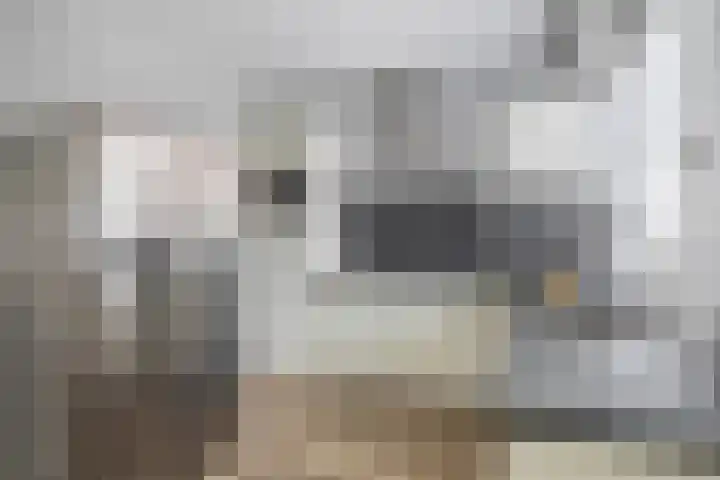 Andoorn 15 Rotterdam thumbnail 22