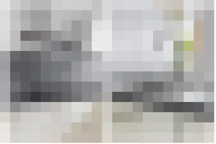Andoorn 15 Rotterdam thumbnail 23