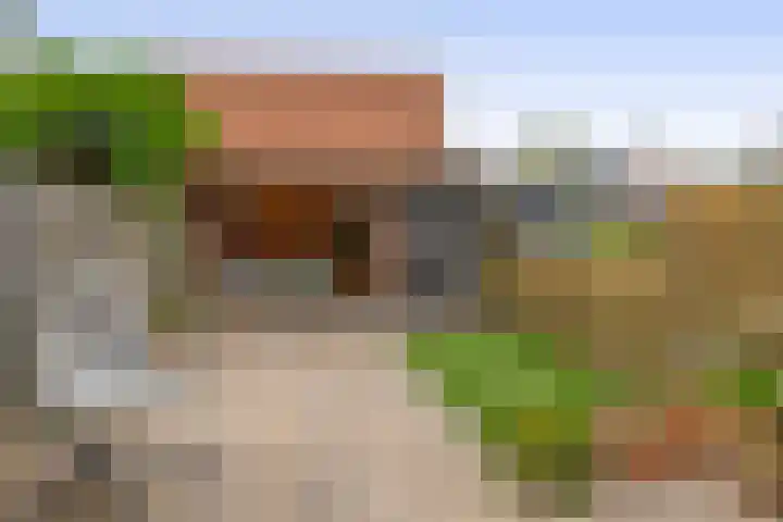 Andoorn 15 Rotterdam thumbnail 25
