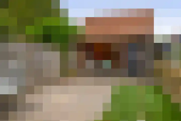 Andoorn 15 Rotterdam thumbnail 26
