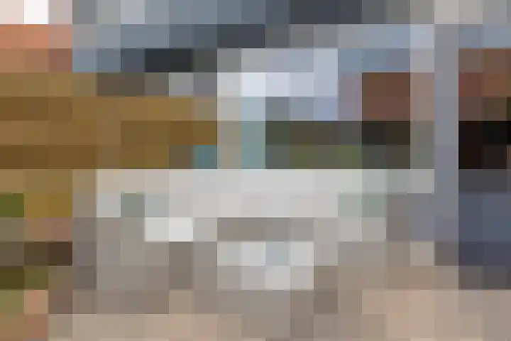 Andoorn 15 Rotterdam thumbnail 27
