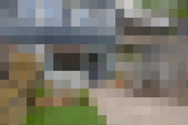 Andoorn 15 Rotterdam thumbnail 29
