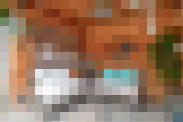 Andoorn 15 Rotterdam thumbnail 30