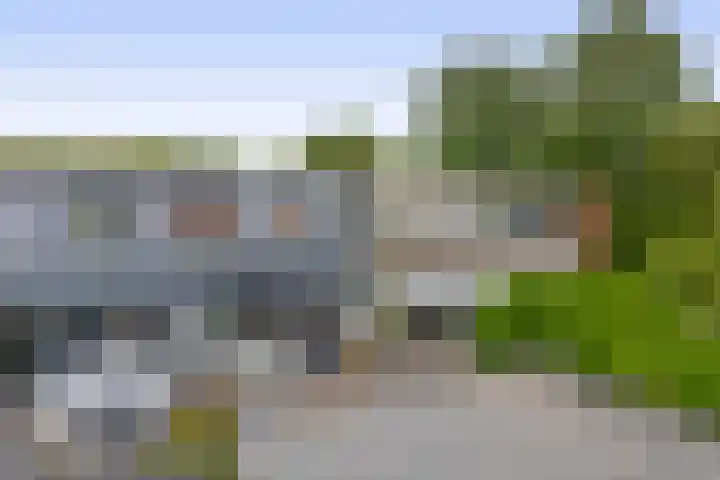 Andoorn 15 Rotterdam thumbnail 32