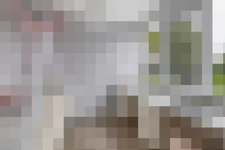 Andoorn 15 Rotterdam thumbnail 33