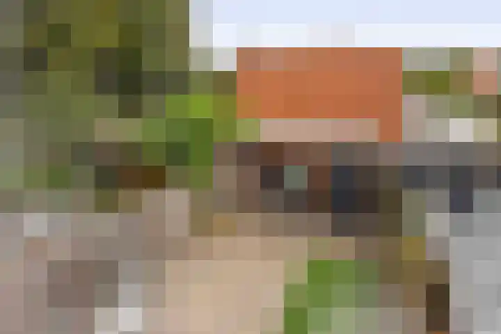 Andoorn 15 Rotterdam thumbnail 35
