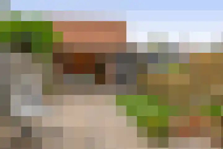 Andoorn 15 Rotterdam thumbnail 4