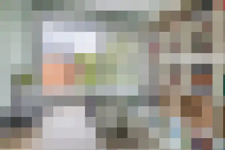 Andoorn 15 Rotterdam thumbnail 43