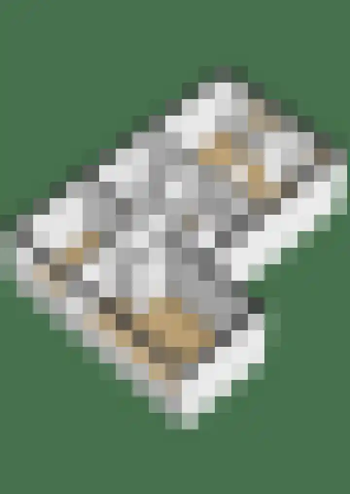 Andoorn 15 Rotterdam thumbnail 51