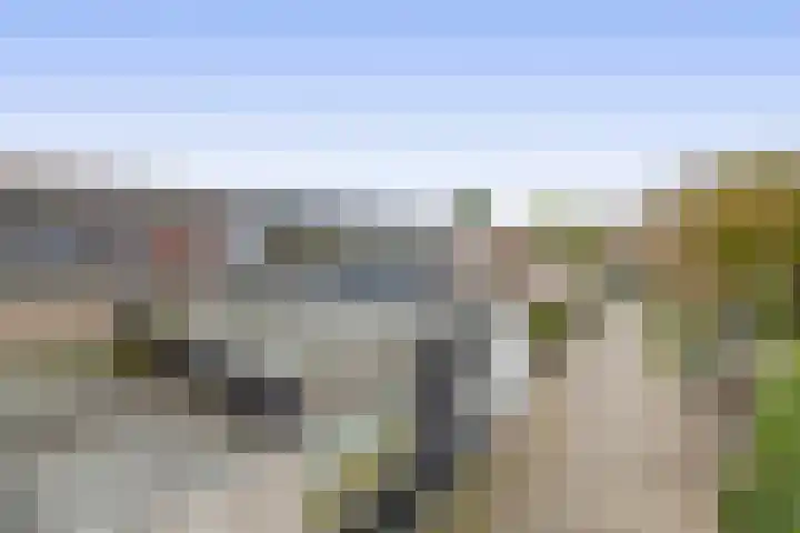 Andoorn 15 Rotterdam thumbnail 6