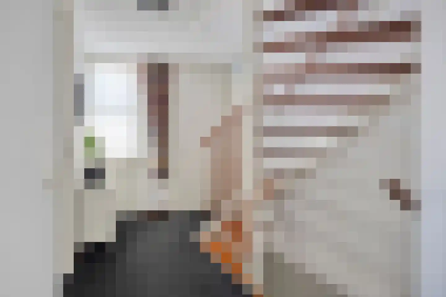 Andoorn 20 Klazienaveen thumbnail 11