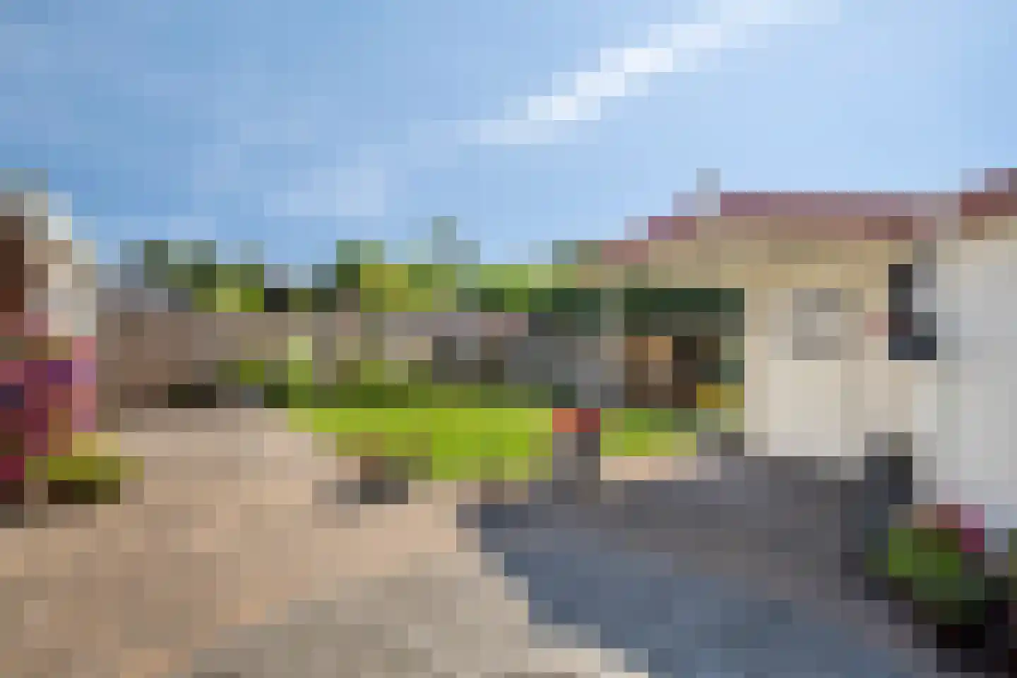 Andoorn 20 Klazienaveen thumbnail 24